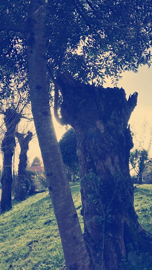 Casal Da Batoca Nature House Fafe Exterior photo